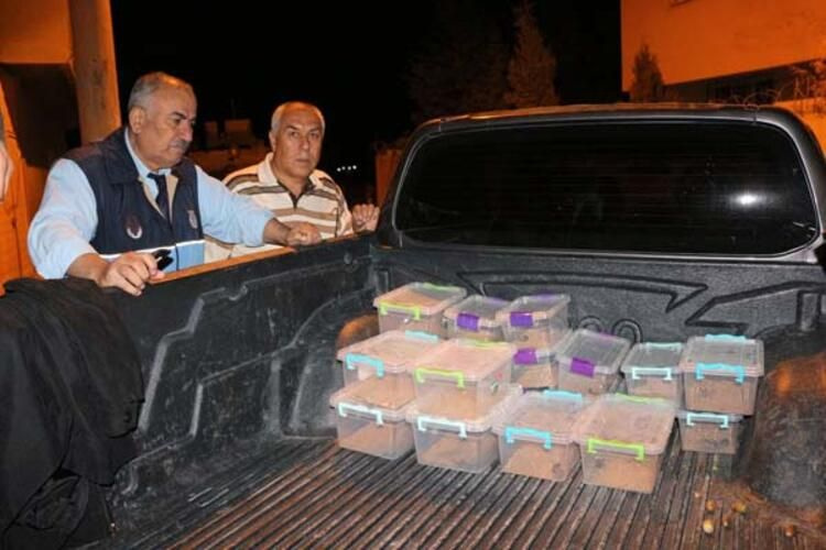 Kutu kutu ele geçirildi tam 217 adet! - Sayfa 2