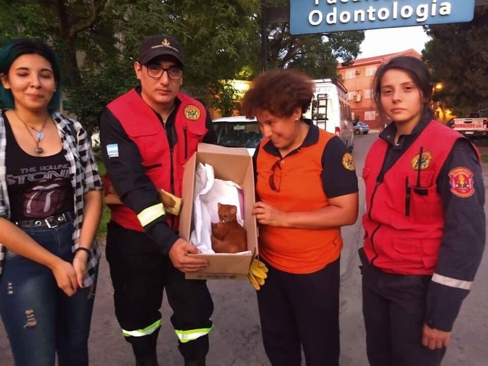 Yavru kedi diye 2 ay evinde besledi - Sayfa 3