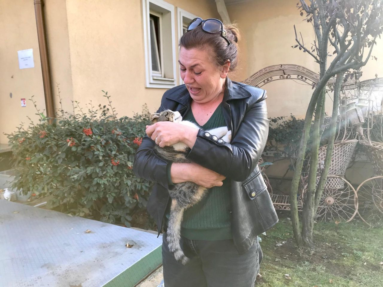 Lüks sitede kedi katliamı! - Sayfa 1