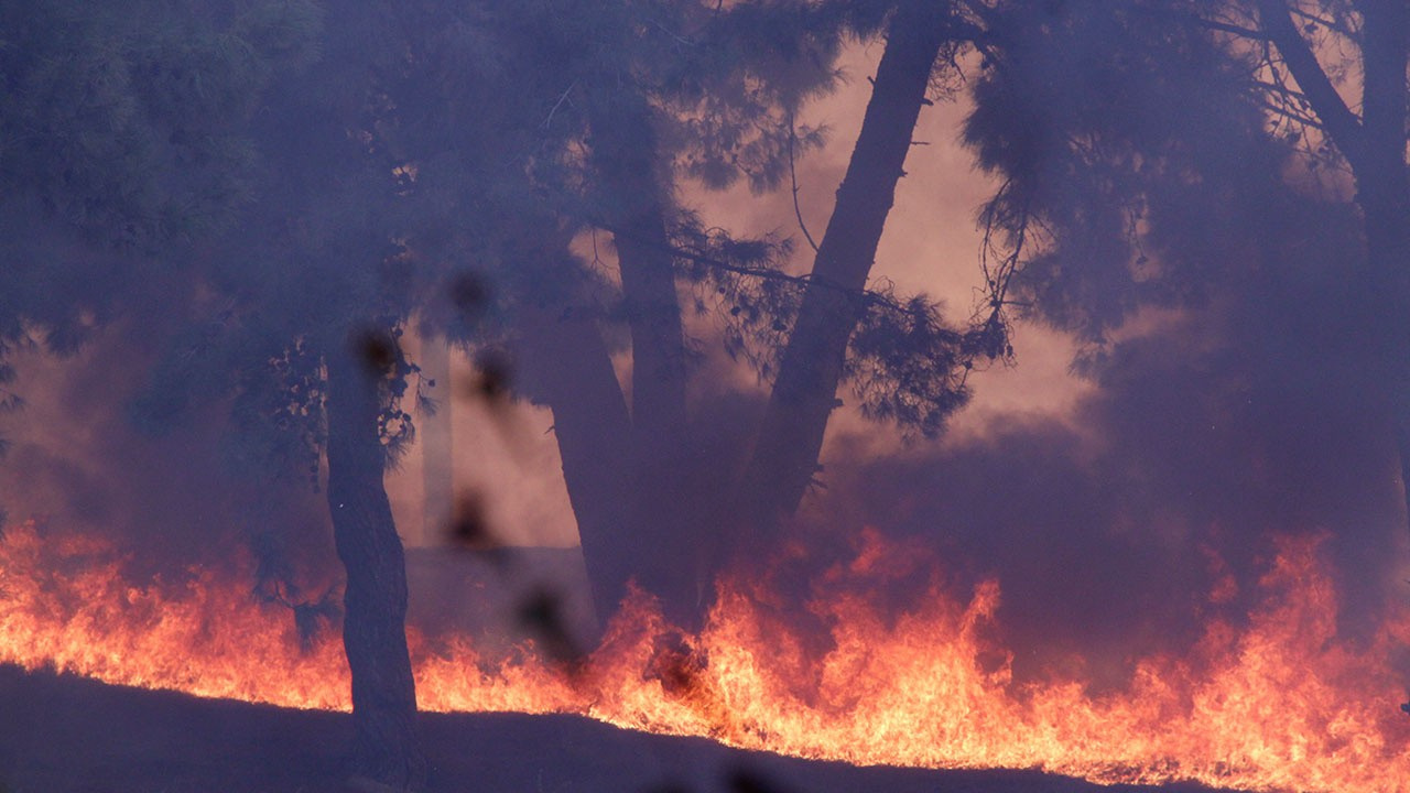 Hatay'daki orman yangınına 2 tutuklama