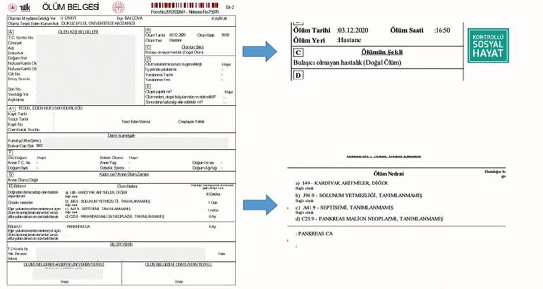 Son dakika Bakan Koca�dan önemli açıklamalar