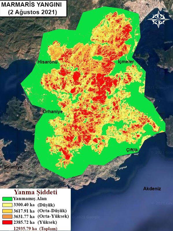 Bilanço çok ağır! 11 gündür süren orman yangınlarında kül olan alanlar tek  tek hesaplandı