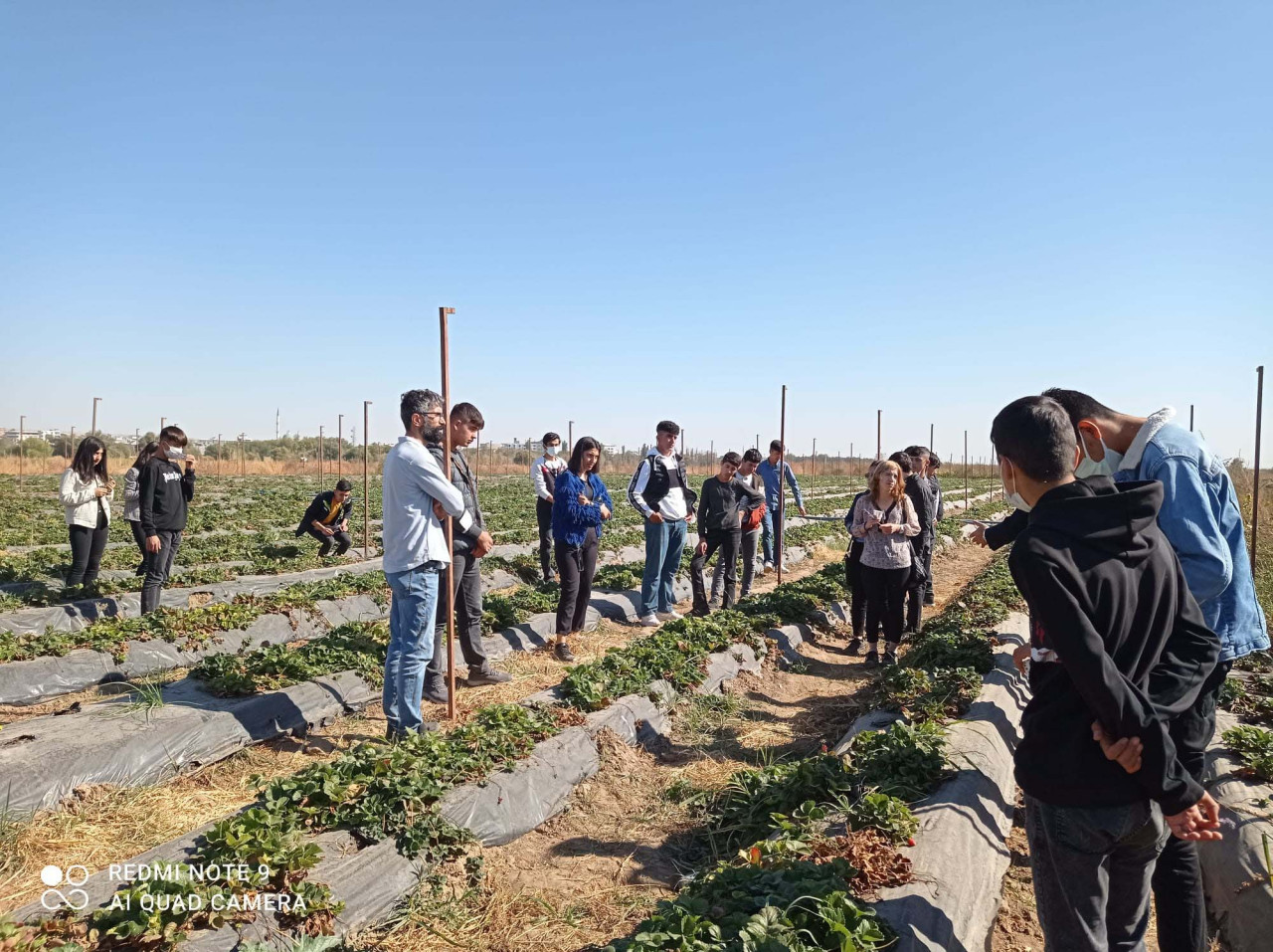 Dicle Üniversitesi Bismil Ovası’nın tarımsal potansiyelini bilimsel çalışmalarla destekliyor - Resim : 5